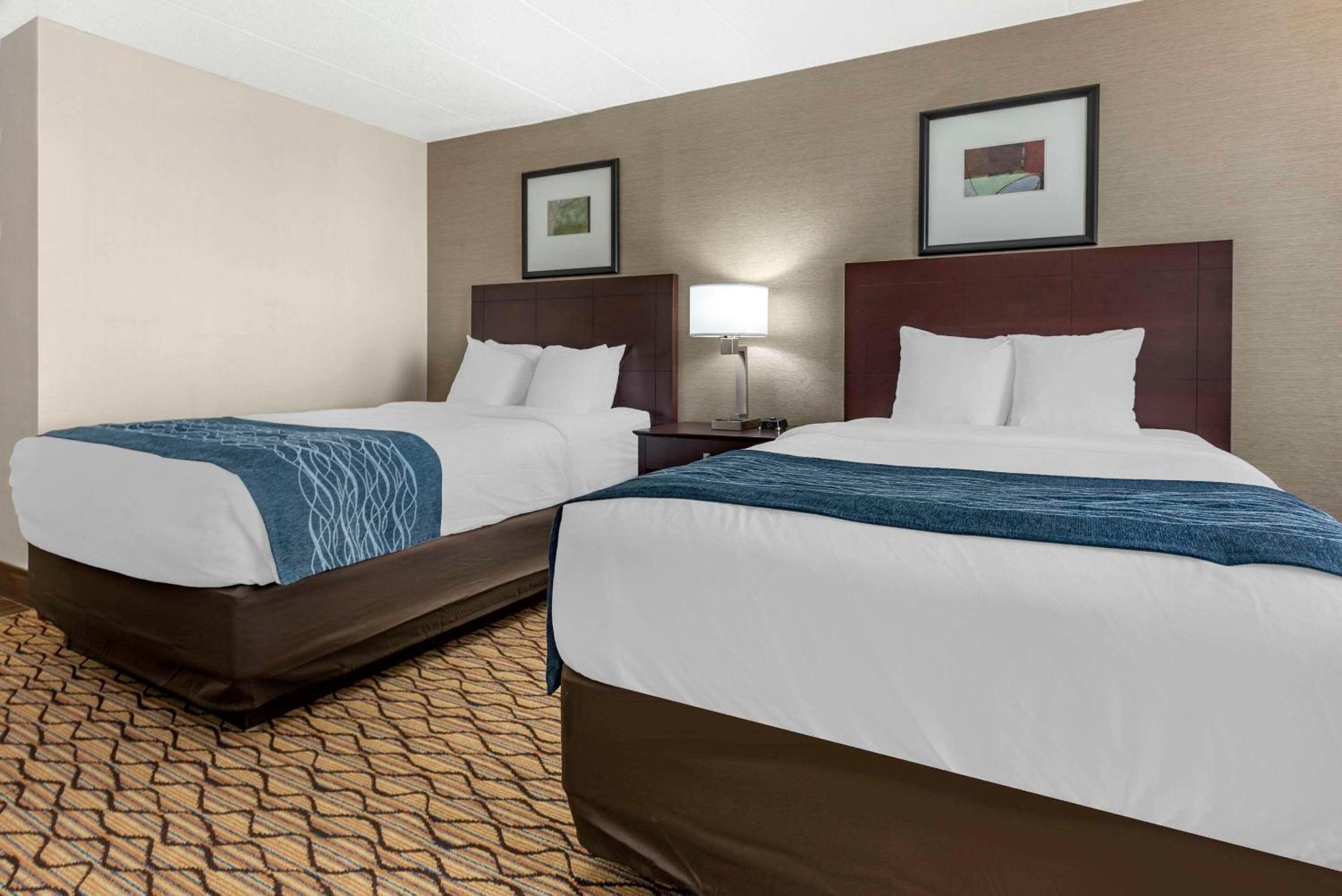 Comfort Inn & Suites Glen Mills - West Chester Exterior foto